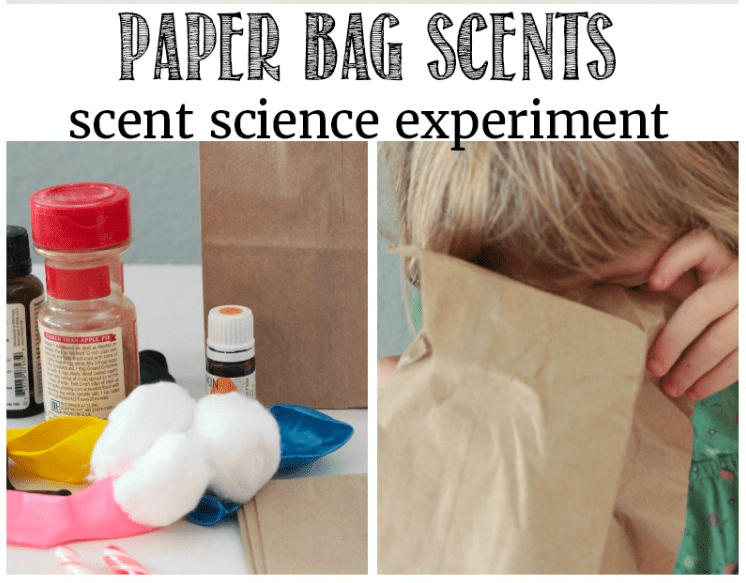Paper bag and cotton balls with scented items like spices