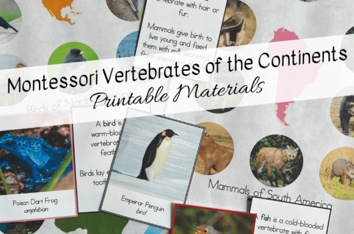 Montessori Vertebrates of the Continents Printable Materials