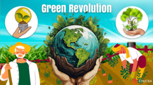 Essay on Green Revolution