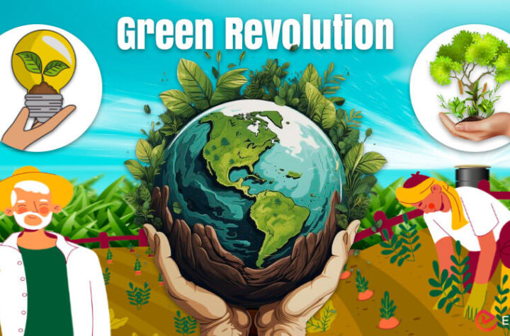 Essay on Green Revolution