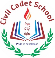 Civil Cadet School System